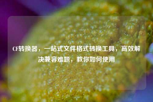 CF转换器，一站式文件格式转换工具，高效解决兼容难题，教你如何使用