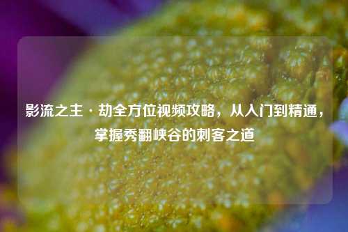 影流之主·劫全方位视频攻略，从入门到精通，掌握秀翻峡谷的刺客之道