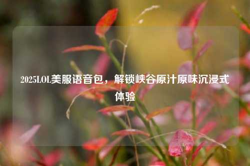 2025LOL美服语音包,解锁峡谷原汁原味沉浸式体验