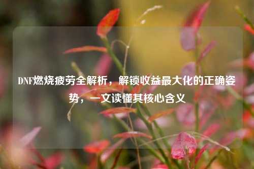 DNF燃烧疲劳全解析，解锁收益最大化的正确姿势，一文读懂其核心含义