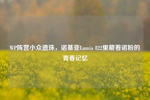 WP阵营小众遗珠,诺基亚Lumia 822里藏着诺粉的青春记忆