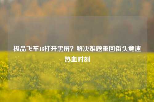 极品飞车18打开黑屏?解决难题重回街头竞速热血时刻