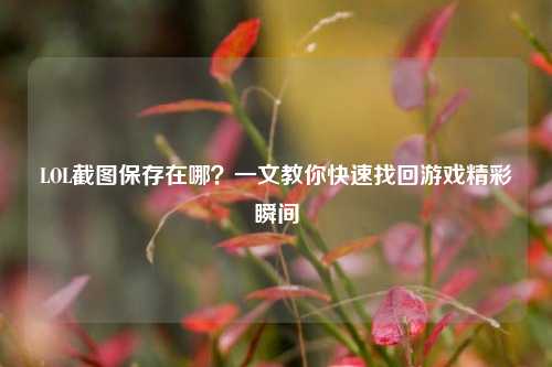 LOL截图保存在哪?一文教你快速找回游戏精彩瞬间