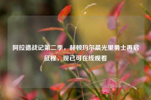 阿拉德战记第二季,赫顿玛尔晨光里勇士再启征程,现已可在线观看