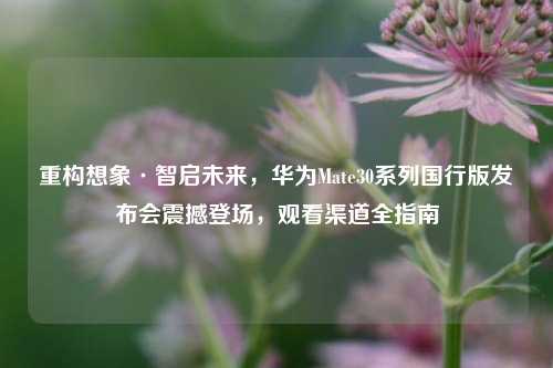重构想象·智启未来，华为Mate30系列国行版发布会震撼登场，观看渠道全指南
