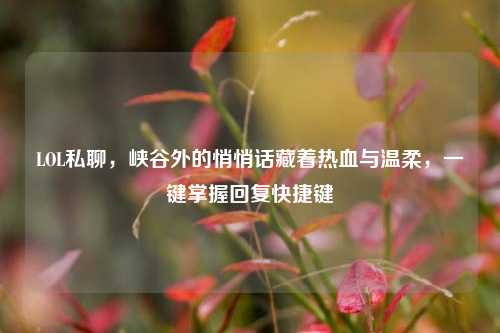 LOL私聊，峡谷外的悄悄话藏着热血与温柔，一键掌握回复快捷键