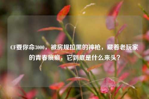 CF要你命3000,被房规拉黑的神枪,藏着老玩家的青春疯癫,它到底是什么来头?