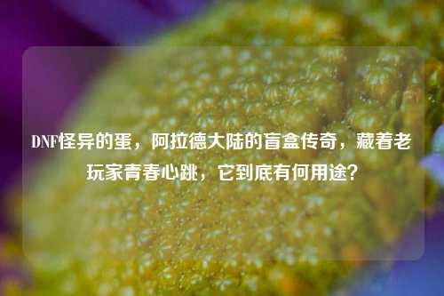 DNF怪异的蛋,阿拉德大陆的盲盒传奇,藏着老玩家青春心跳,它到底有何用途?