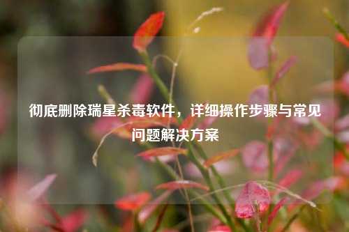 彻底删除瑞星杀毒软件,详细操作步骤与常见问题解决方案