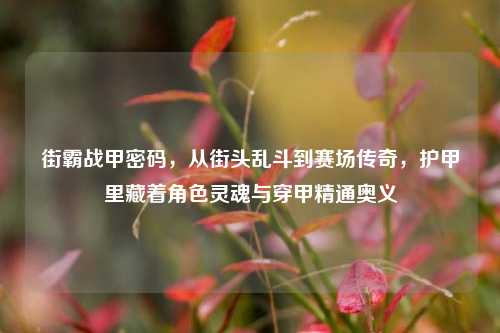街霸战甲密码，从街头乱斗到赛场传奇，护甲里藏着角色灵魂与穿甲精通奥义