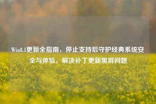 Win8.1更新全指南，停止支持后守护经典系统安全与体验，解决补丁更新黑屏问题