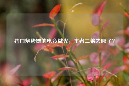 巷口烧烤摊的电竞微光，王者二弟去哪了？