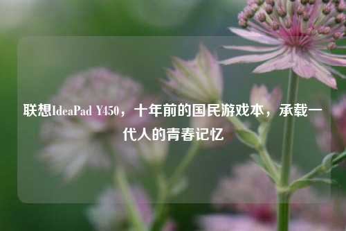 联想IdeaPad Y450,十年前的国民游戏本,承载一代人的青春记忆