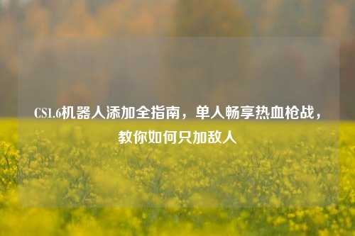 CS1.6机器人添加全指南,单人畅享热血枪战,教你如何只加敌人
