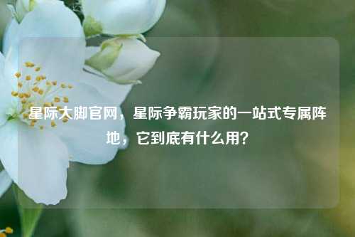 星际大脚官网,星际争霸玩家的一站式专属阵地,它到底有什么用?