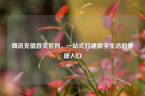 腾讯充值首页官网,一站式打通数字生活的便捷入口