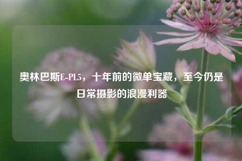 奥林巴斯E-PL5,十年前的微单宝藏,至今仍是日常摄影的浪漫利器