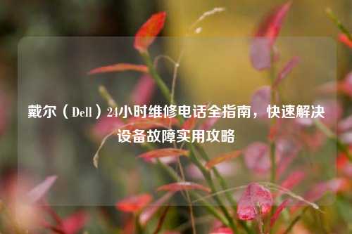戴尔(Dell)24小时维修电话全指南,快速解决设备故障实用攻略