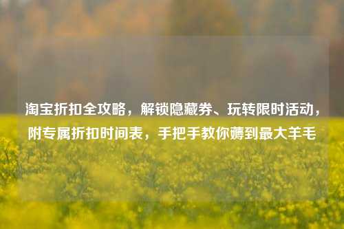 淘宝折扣全攻略,解锁隐藏券、玩转限时活动,附专属折扣时间表,手把手教你薅到最大羊毛