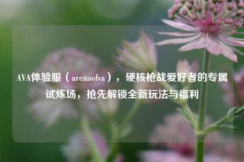 AVA体验服(arenaofva),硬核枪战爱好者的专属试炼场,抢先解锁全新玩法与福利