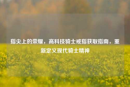 指尖上的荣耀,高科技骑士戒指获取指南,重新定义现代骑士精神
