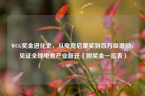 WCG奖金进化史,从电竞启蒙奖到百万级激励,见证全球电竞产业跃迁(附奖金一览表)