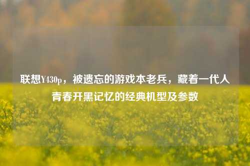 联想Y430p,被遗忘的游戏本老兵,藏着一代人青春开黑记忆的经典机型及参数