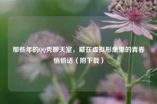 那些年的QQ秀聊天室,藏在虚拟形象里的青春悄悄话(附下载)