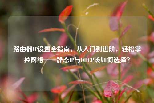 路由器IP设置全指南,从入门到进阶,轻松掌控网络——静态IP与DHCP该如何选择?