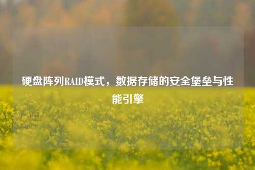 硬盘阵列RAID模式,数据存储的安全堡垒与性能引擎