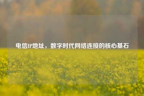 电信IP地址，数字时代网络连接的核心基石