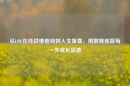 从LOL在线战绩查询到人生复盘,用数据追踪每一步成长足迹