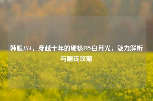 韩服AVA，穿越十年的硬核FPS白月光，魅力解析与刷钱攻略