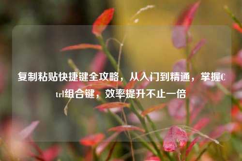 复制粘贴快捷键全攻略,从入门到精通,掌握Ctrl组合键,效率提升不止一倍