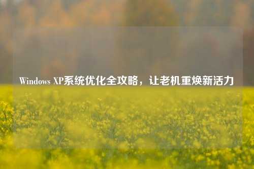 Windows XP系统优化全攻略，让老机重焕新活力