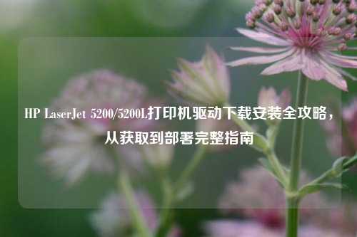 HP LaserJet 5200/5200L打印机驱动下载安装全攻略,从获取到部署完整指南