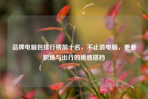 品牌电脑包排行榜前十名，不止装电脑，更是职场与出行的质感搭档