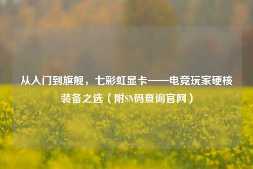 从入门到旗舰,七彩虹显卡——电竞玩家硬核装备之选(附SN码查询官网)