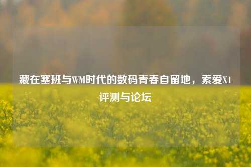 藏在塞班与WM时代的数码青春自留地,索爱X1评测与论坛
