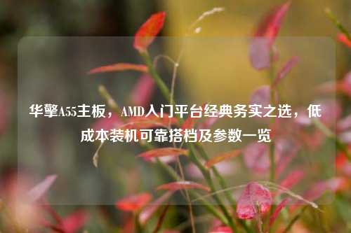 华擎A55主板，AMD入门平台经典务实之选，低成本装机可靠搭档及参数一览