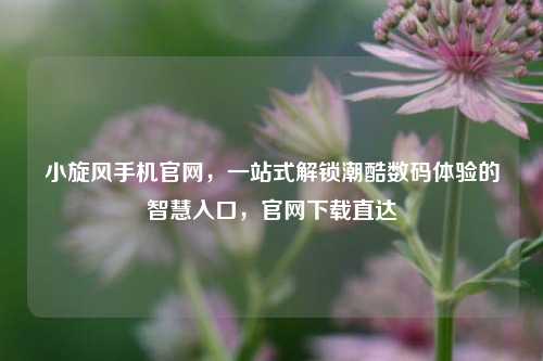 小旋风手机官网,一站式解锁潮酷数码体验的智慧入口,官网下载直达