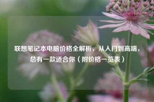 联想笔记本电脑价格全解析,从入门到高端,总有一款适合你(附价格一览表)