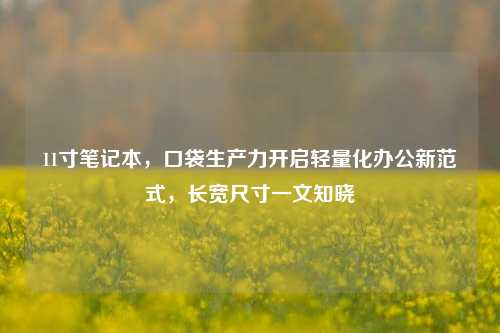 11寸笔记本,口袋生产力开启轻量化办公新范式,长宽尺寸一文知晓