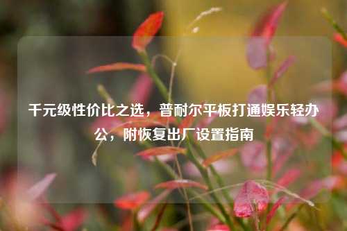 千元级性价比之选,普耐尔平板打通娱乐轻办公,附恢复出厂设置指南