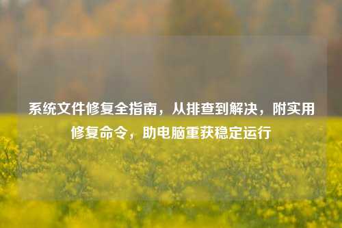 系统文件修复全指南,从排查到解决,附实用修复命令,助电脑重获稳定运行