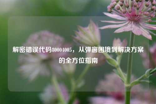 解密错误代码80004005,从弹窗困境到解决方案的全方位指南