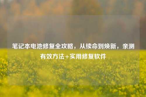 笔记本电池修复全攻略,从续命到焕新,亲测有效方法+实用修复软件