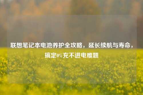 联想笔记本电池养护全攻略，延长续航与寿命，搞定0%充不进电难题