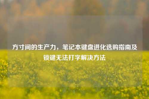 方寸间的生产力，笔记本键盘进化选购指南及锁键无法打字解决方法