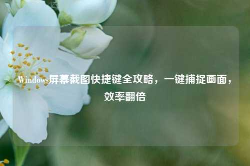 Windows屏幕截图快捷键全攻略,一键捕捉画面,效率翻倍